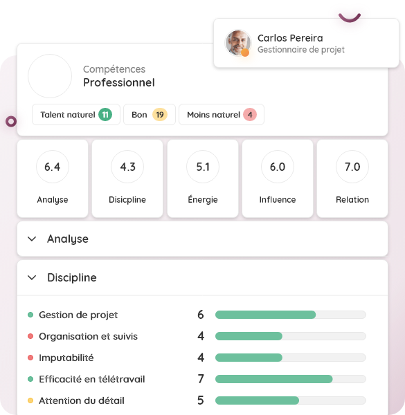 Hire Competency Profile (600) FR